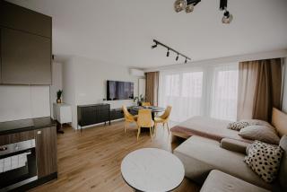 Metropolitan Apartment - Large, City Center & Parking - 6