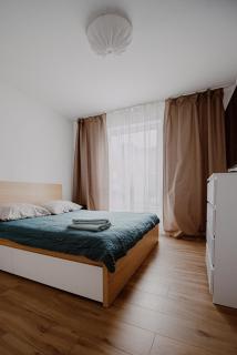 Metropolitan Apartment - Large, City Center & Parking - 5