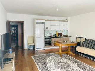 Një apartament i gjerë dhe mjaft i madh - 4