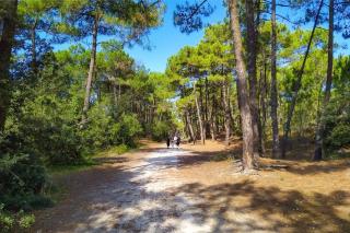 Camping 4 étoiles - Parc aquatique - ccbedef - Saint-Sulpice-de-Royan - 2