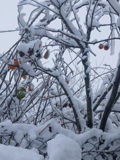 Casa da Emilia do Gerês - 7