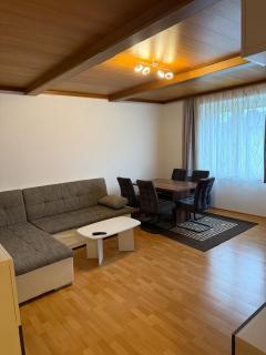 Zentrale Wohnung nahe Therme Bad Schallerbach - 0
