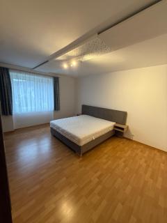 Zentrale Wohnung nahe Therme Bad Schallerbach - 3