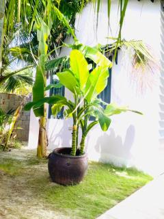 Ocean Door Villa - Phan Ri - 1