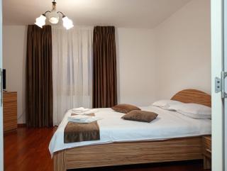 Apartament Adelina Borsa - 1
