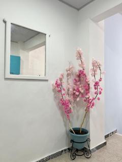 Nice downtown apartment in Cali - 5