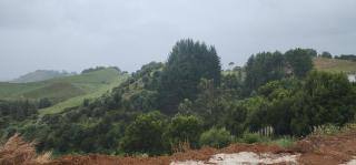 Misty Valley Hilltop Farmstay - Off Grid Retreat - 4