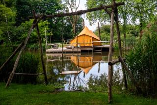 ASILI DELUXE - Zebra - 8