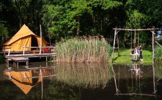 ASILI DELUXE - Zebra - 3