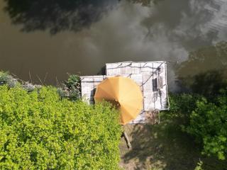 ASILI DELUXE - Zebra - 7