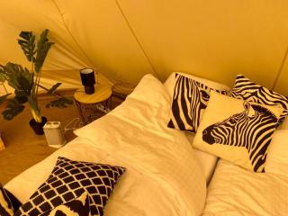 ASILI DELUXE - Zebra - 4