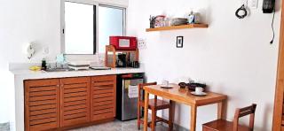 Estudio Coatí Azul en la Isla de Cozumel en el Caribe - 7