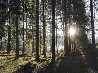 5 person holiday home in Knutby - 8