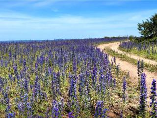 6 person holiday home in LÖTTORP - 5