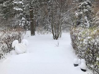 4 star holiday home in KNIVSTA - 3