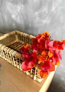 Villa brisa Icaraízinho quarto 8 1 andar - 1