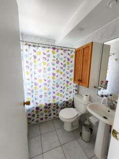 Espectacular departamento en Costanera de Villarrica - 7