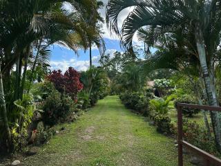 Cozy Studio with private tropical forest - 7