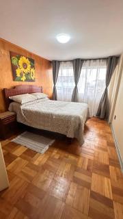 Arriendo Departamento Pleno Centro Puerto Varas - 4