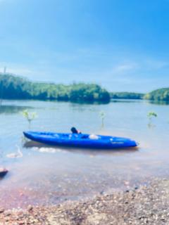 Koh Nin "Private Mangrove Isle" - 4