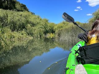 Casa Isla Loreley - 3