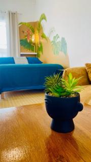 Mozaïka - Le cocon tropical - 5