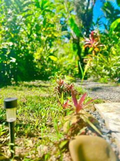 Ita Ita Casitas Playa Punta Uva - 4