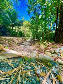 Ita Ita Casitas Playa Punta Uva - 7