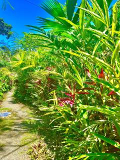 Ita Ita Casitas Playa Punta Uva - 3