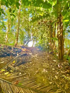 Ita Ita Casitas Playa Punta Uva - 1