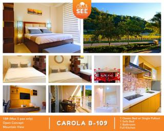 PICO DE LORO Pool Accessible CAROLA 1 Bedroom Units by SEE Condominiums - 0