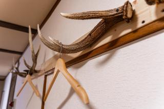 KING DEER - Vacation STAY 67718v - 7