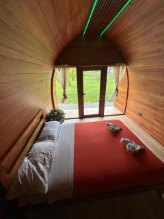 The Jungle Cocoon - 6