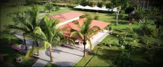 The Jungle Cocoon - 5