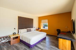 Barceló Monterrey Valle - 8