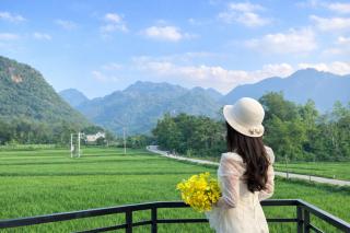 Mai Chau Golden Serenade - 0