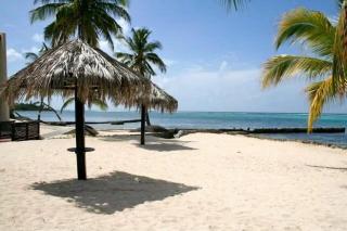 Coco Palms Beach Condominium - 5