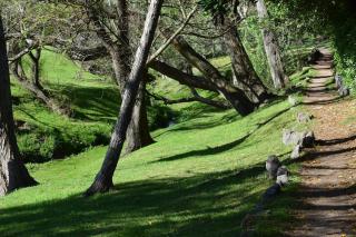 Family home in Las Delicias, garden and barbecue - 8