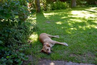 Family home in Las Delicias, garden and barbecue - 2