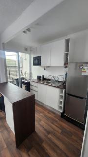 Arriendo Dpto Amoblado Chillán - 6