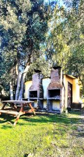 Soñador Eugenia con piscina climatizada - 4