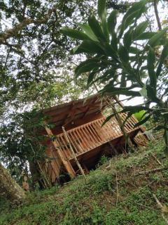 Cabaña Campestre - La Gloria - 9