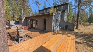 Whistling Swan 8 - 4