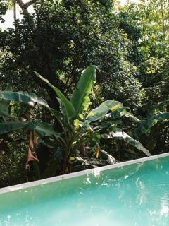 Luxury Villa in Jungle Setting with Infinity Pool and Firepit - 7