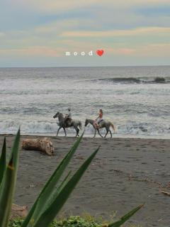 Casa Fly Paredón - 7