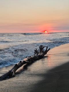 Casa Fly Paredón - 8