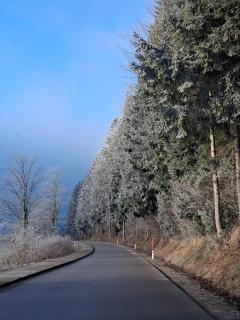 Apartmenthaus AMELIE - 3