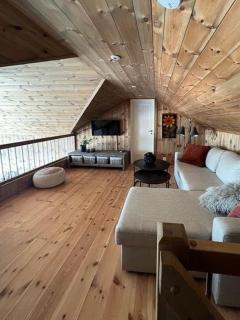 Modern Family Cabin By Gautefall Ski Trails - 2