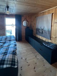 Modern Family Cabin By Gautefall Ski Trails - 1