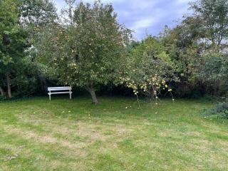 Nature Colours In Personal Calm Decor - 7